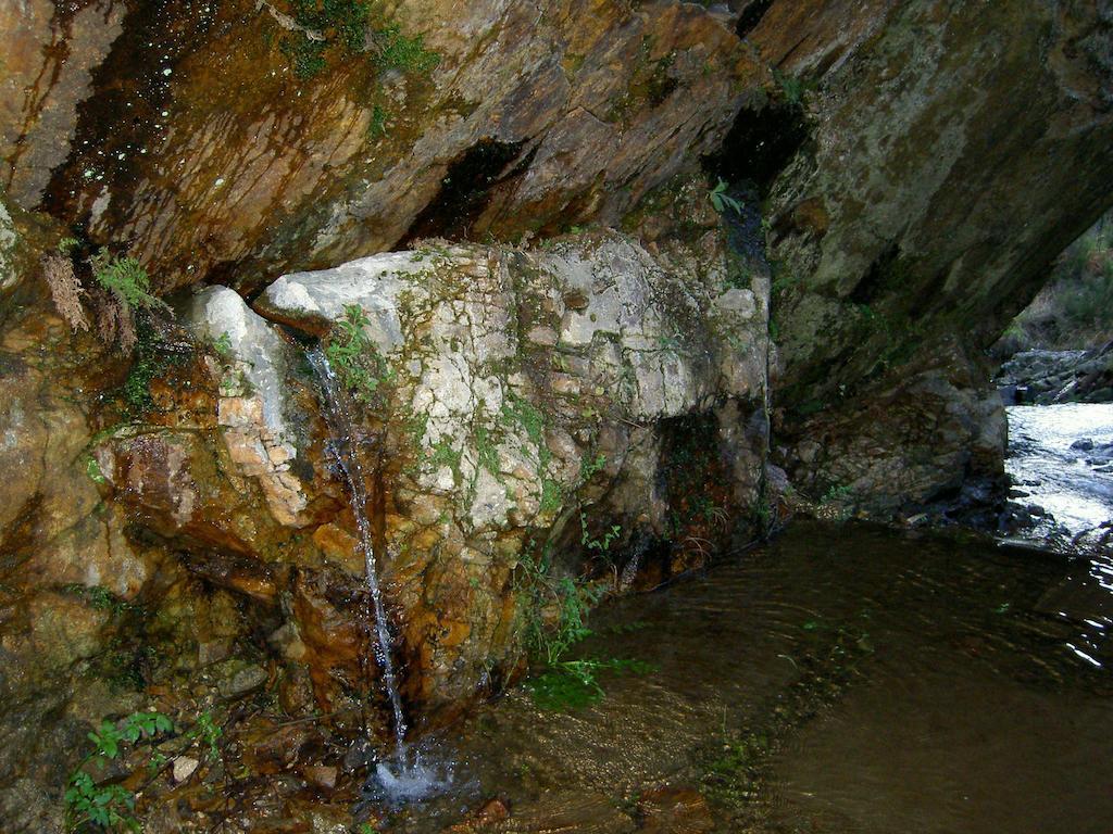 A Velha Casa